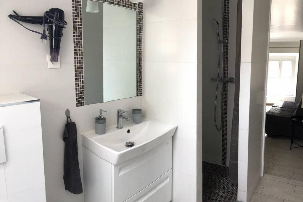 Duplex Bellifontain Au Coeur De Fontainebleau Apartment Bagian luar foto